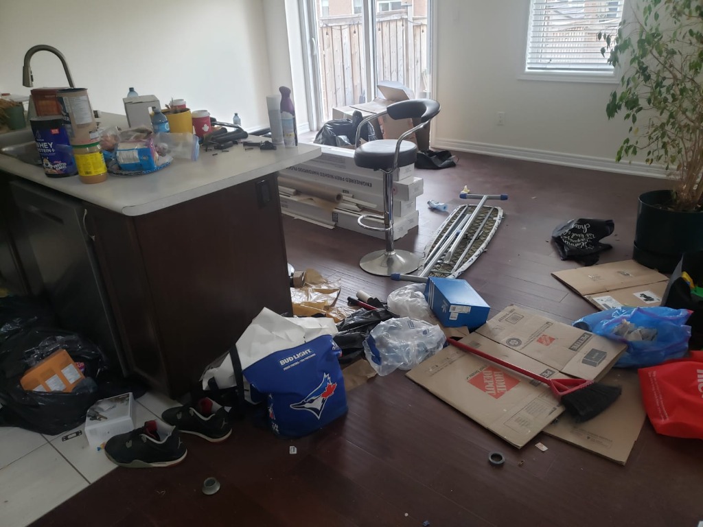 Before Cleaning