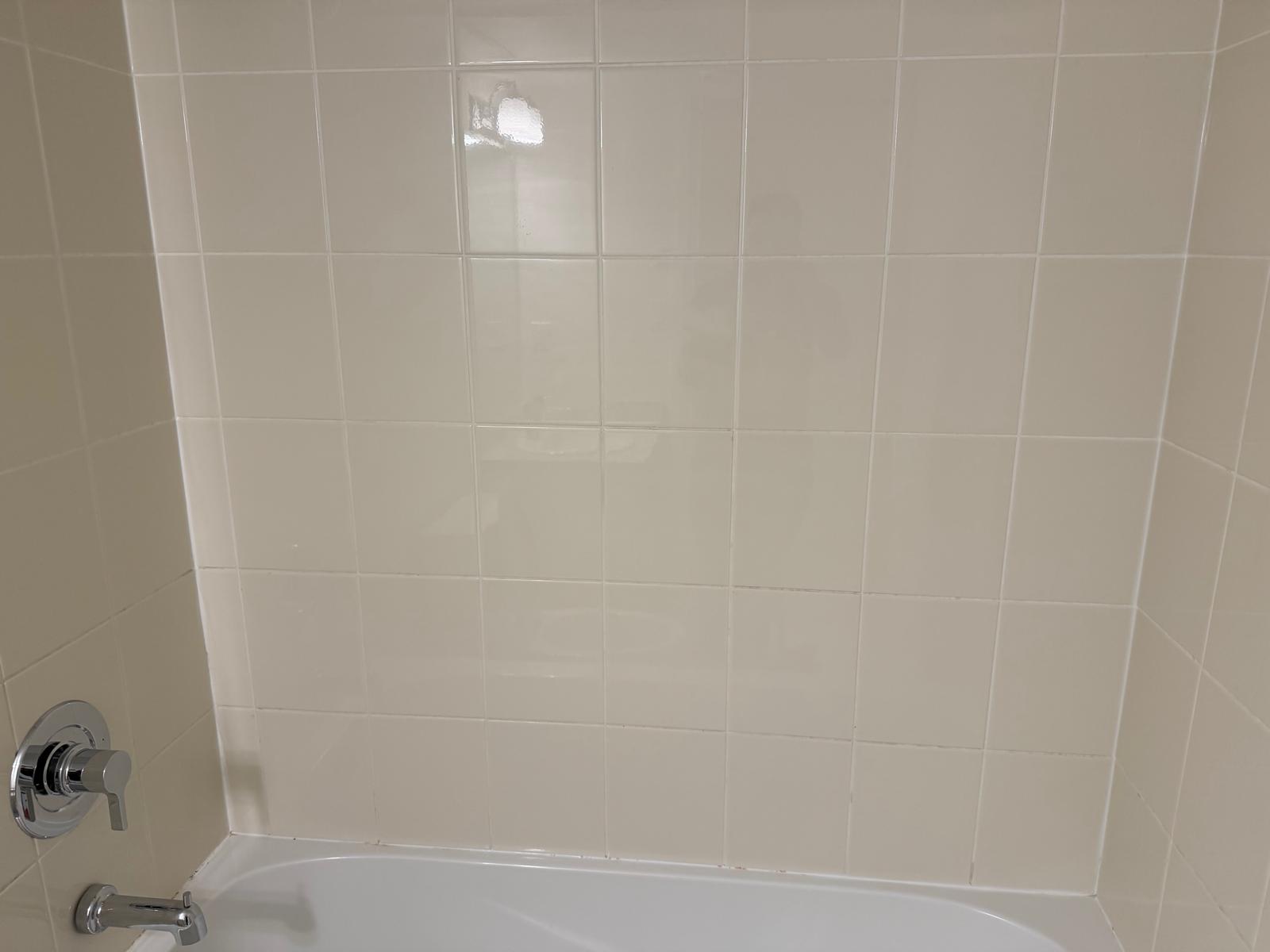 Tile & Grout Cleaning