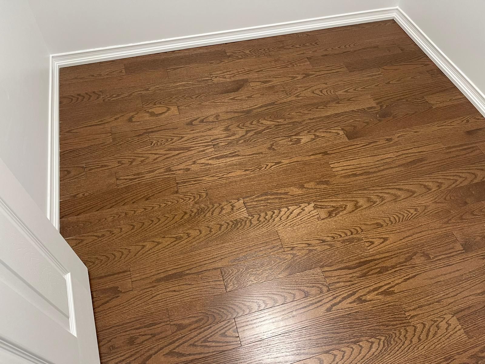 Move-In/Out Cleaning