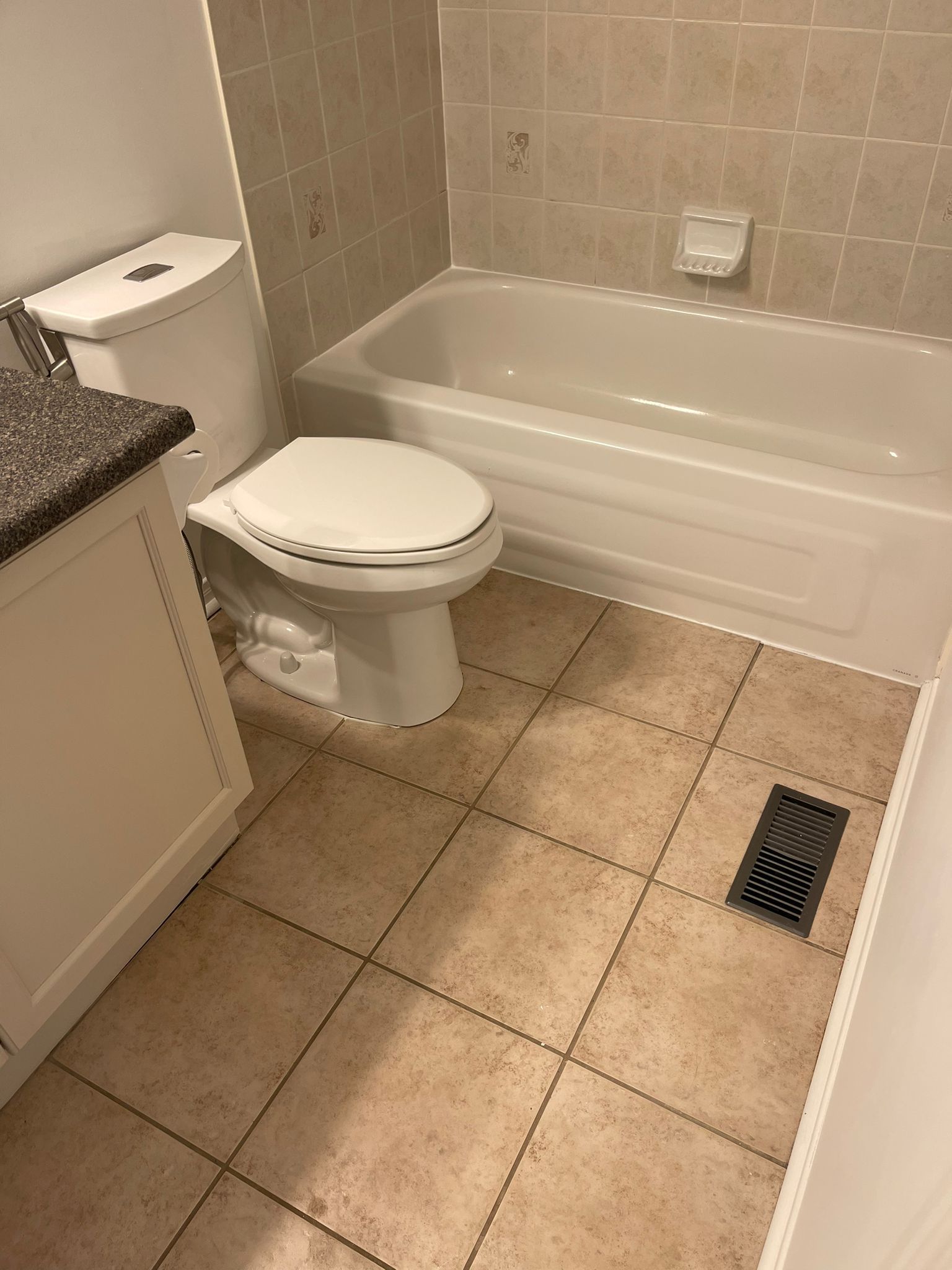 Toilet Scrub